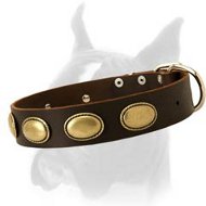 Designer Leather Dog Collar With Oval Plates