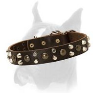 Studded Leather Dog Collar 1 1/5 inch (30 mm) wide