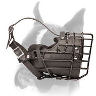 Comfortable winter ware cage muzzle for Boxer