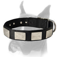 Nylon Dog Collar With Vintage Plates for Boxer