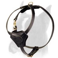 Special lightweight Leather Harness for Boxer Puppy