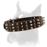 Studded Boxer dog Collar for excellent style