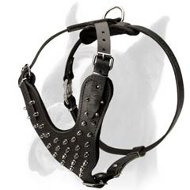 Deluxe leather Spiked Harness for Boxer Dog