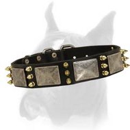 Boxer Leather Collar with Massive Plates + 3 Brass Spikes