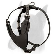 Heavy Duty Leather Dog Harness for Boxer