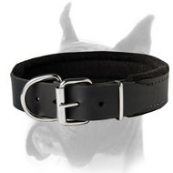Leather Dog Collar Padded with Thick Felt for Boxer
