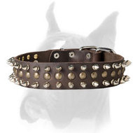 Marvelous leather decorated collar for Boxer