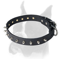 Spiked leather collar for Boxer