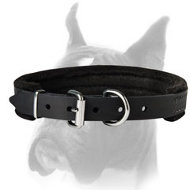 Handcrafted Leather Dog Collar Padded for Comfort