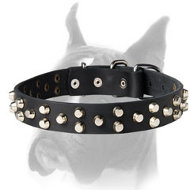 Exclusive Dog Collar made of Best Quality Leather and Nickel-plated Hardware