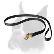 Extra long nylon Boxer leash for different activities