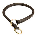 Elegant Boxer choke collar for training