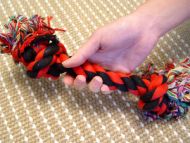 Washable Fiber Bone for Playing with Boxer