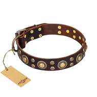 'Flower Melody' FDT Artisan Brown Leather Dog Collar with Mixed Studs for Boxer Dog Walking