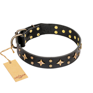 'A La Mode' FDT Artisan Stylish Handmade Black Leather Boxer Collar