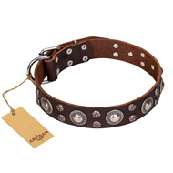 'Age of Beauty' FDT Artisan Incredible Studded Brown Leather Boxer Collar