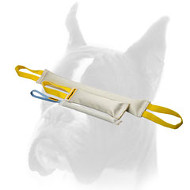 Fire Hose Bite Tugs Training Set