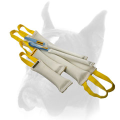 Fire Hose Bite Tugs Training Sets