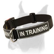 Excellent Identification Dog Collar for Boxer
