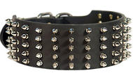 Snorting Leather Collar With Spikes For Boxer