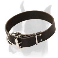 Plain Design Everyday Leather Collar for Boxer 1 1/2 Inches Wide