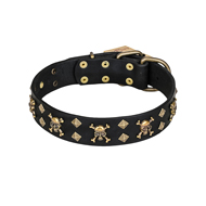 'Jolly Rojer' FDT Artisan Boxer Leather Dog Collar with Skulls and Studs