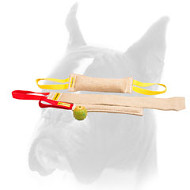 Puppy Training Set for Efficient Training