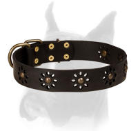 Spring Mood Leather Boxer Collar with Flower Design