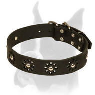 Stylish Collar with Camomile Ornament for Boxer