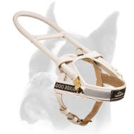 Guide and Assistance Leather Harness for Boxer with Long Handle