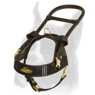 Comfortable Leather Guide Harness for Boxer