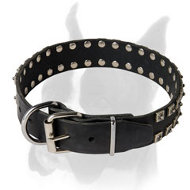 Boxer Leather Collar "Caterpillar" Ornated With Studs