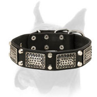 Perfect Leather Collar With Nickel Pyramids And Plates For Boxer
