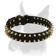 Luxury leather Boxer collar with brass spikes