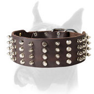 Posh leather Boxer collar with spikes and pyramids