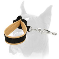 Boxer leash with padded handle for daily activities