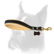 Durable and Comfortable Short Leash for Boxer