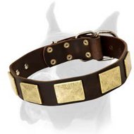 Original Design Wide Leather Collar with Massive Plates for Boxer
