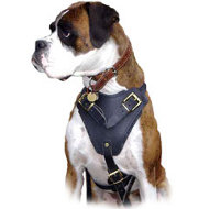 boxer dog harness