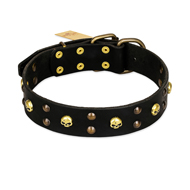 FDT Artisan 'Heavy Metal' Leather Boxer Collar with Skulls and Half-Balls 1 1/2 inch (40 mm)