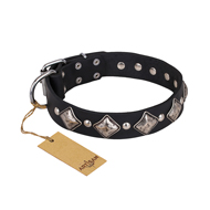 'Silver Charm' FDT Artisan Quality Leather Collar with Handset Decorations for Boxer