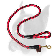 Stylish nylon Boxer leash for training
