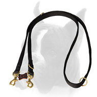 Multifunctional Boxer leash for police service
