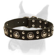 Modern Studded Dog Collar in Rocker Style