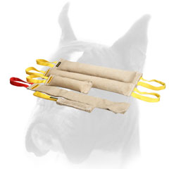 Adult Dog Training Set made of Jute