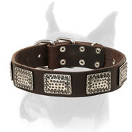 Handmade leather dog collar with silvery plates for Boxer