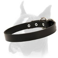 Wide and Comfortable Boxer Leather Dog Collar