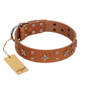 "Dreamy Gleam" FDT Artisan Tan Leather Boxer Collar Adorned with Stars and Squares