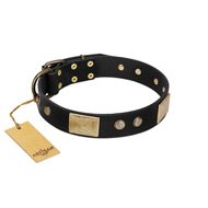 "Antique Gloss" FDT Artisan Black Leather Boxer Collar with Bronze-like Plates and Small Studs