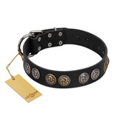 "Mister Exclusive" Designer FDT Artisan Black Leather Boxer Collar with Medallions